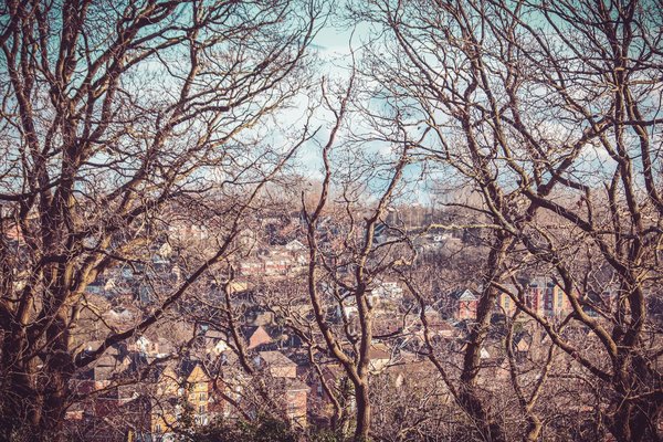How can UK community gardens contribute to urban biodiversity conservation?